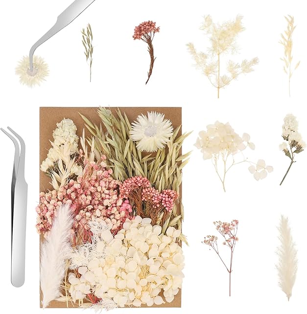 QINREN Dried Flowers for Resin, Dried Flowers for Crafts, Dried Flower, for DIY Epoxy Resin Floral Jewelry Nail Art DIY Candle Craft Making Scrapbooking(Tweezers)