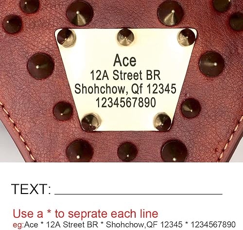 Miniatura 2 de YUEHAN Arnés de cuero personalizado para perro, arnés de perro con tachuelas, arnés de cuero personalizado para perros medianos y grandes, Pitbull