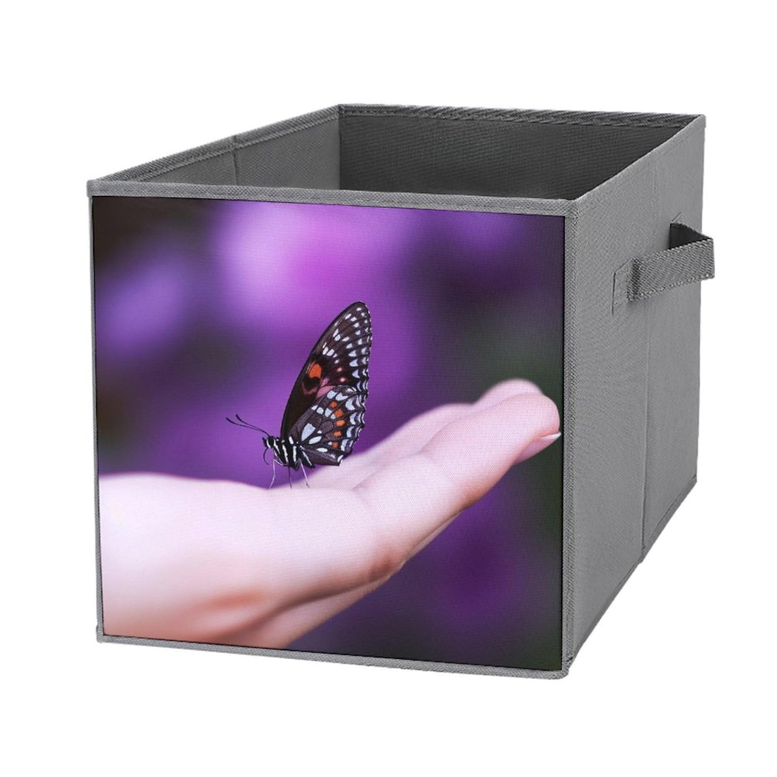 Boîte de rangement papillon avec poignées motif poétique