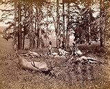  Biller Antik Elk Hunters, Yellowstone Elche Cazador Parque Nacional Estados Unidos América Bosque Foto S 085