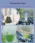 Pawfly 6-Pack Aquarium Suction Cup Clips - Clear Plastic Fish Tank Feeding Tool, Veggie/Seaweed/Plant Leaf Holder for Underwater Fish Feeding