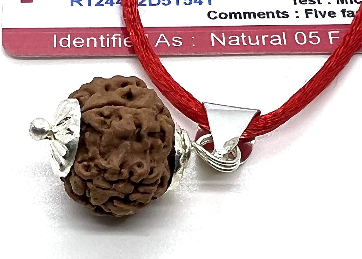 Certified 5 Mukhi Rudraksha Pendant Necklace - Taurus & Libra Birthstone - Throat Chakra Alignment