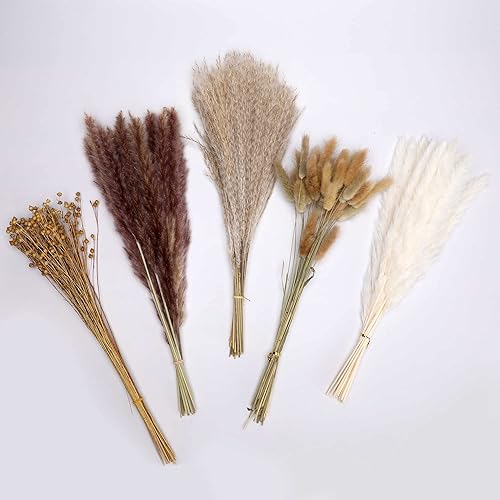 Miniatura 3 de Hierba de pampa seca natural, 90 tallos variados de flores secas para jarrón  Incluye hierba de pampa blanca de 17 pulgadas, colas de conejo, hierba