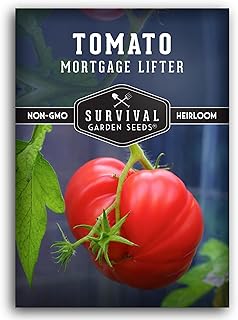 Mortgage Lifter Tomato Seeds for Planting – Heirloom Indeterminate Variety Produces Huge, Sweet Red Tomatoes – High Yield, Non-GMO Open Pollinated – Survival Garden Seeds (1 Pack)