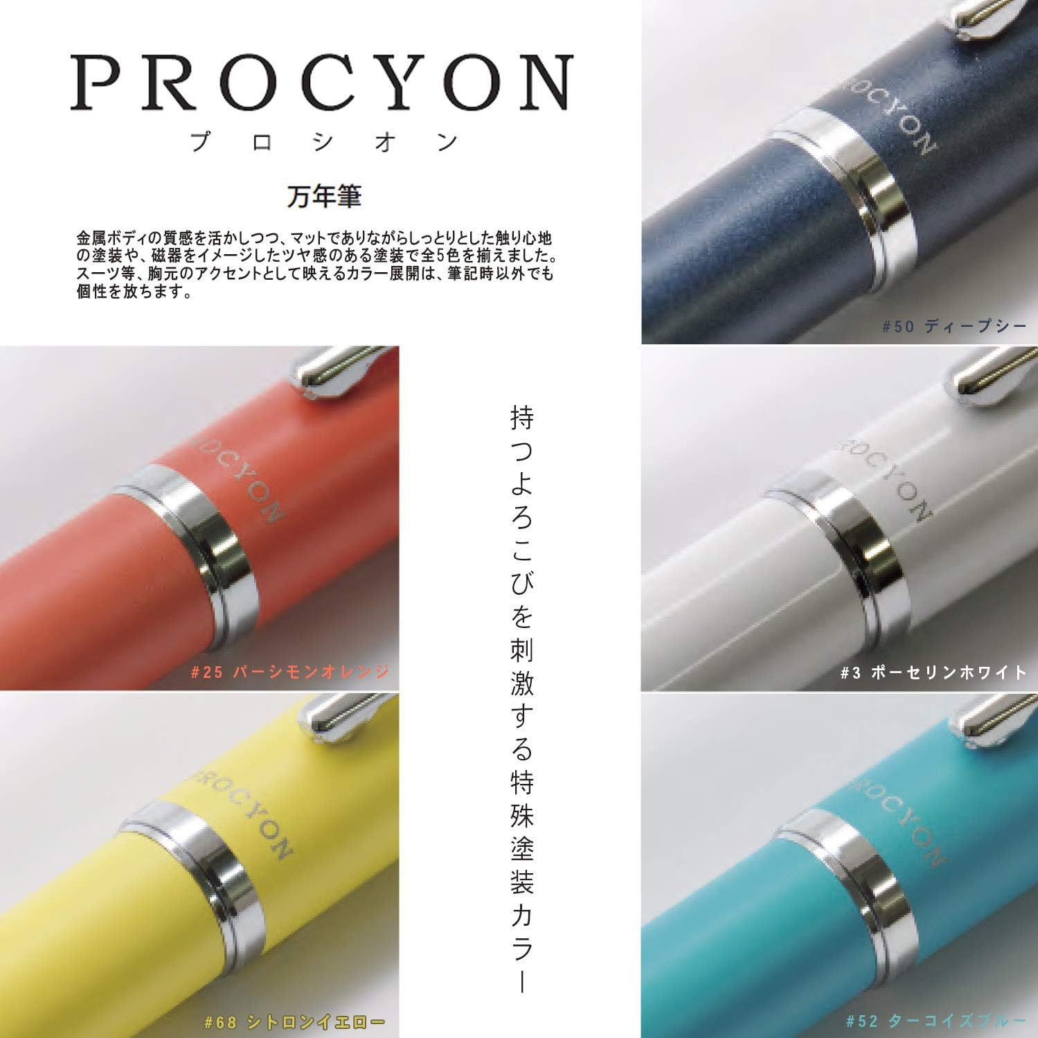 Platinum Professional Theon Fountain Pen po-serinhowaito F (fine)
