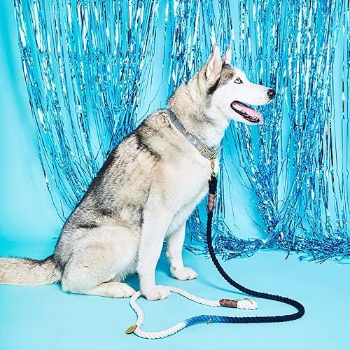 Miniatura 6 de Found My Animal - Correa de perro de cuerda de algodón degradada Abaco (pequeña) - Correa de entrenamiento de perros resistente - Mosquetones