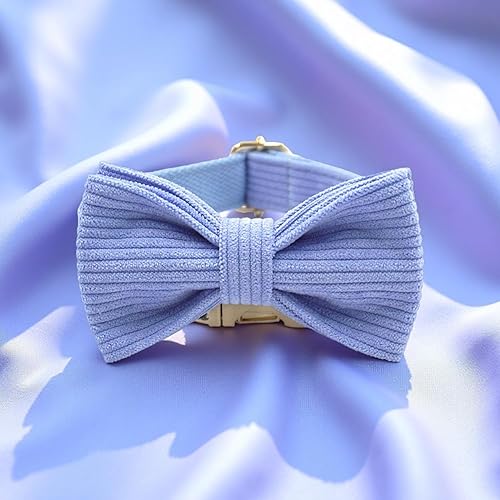 Miniatura 7 de PETDURO Personalized Handmade Dog Collars Stripe Velvet Custom with Name Engraved Gold Metal Buckle for Boy & Girl Dogs - Matching Leash Bow Tie