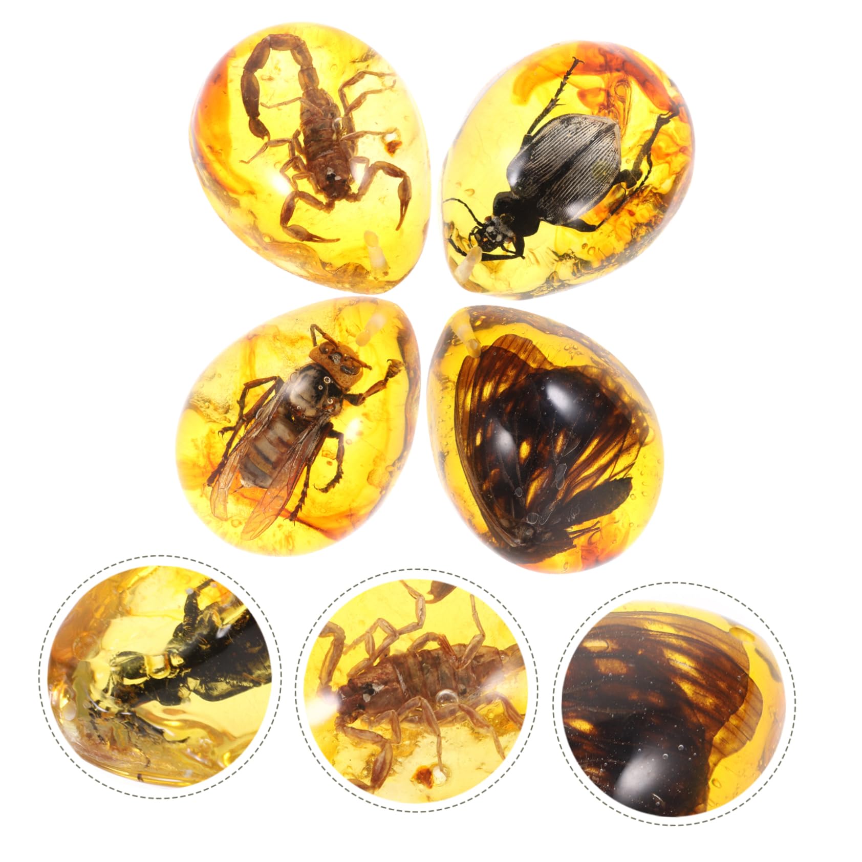 Gatuida 8pezzi Ciondolo Insetti Adornamenti Creativi Per Decorazioni Te Ciondolo Per Collezionisti e Appassionati