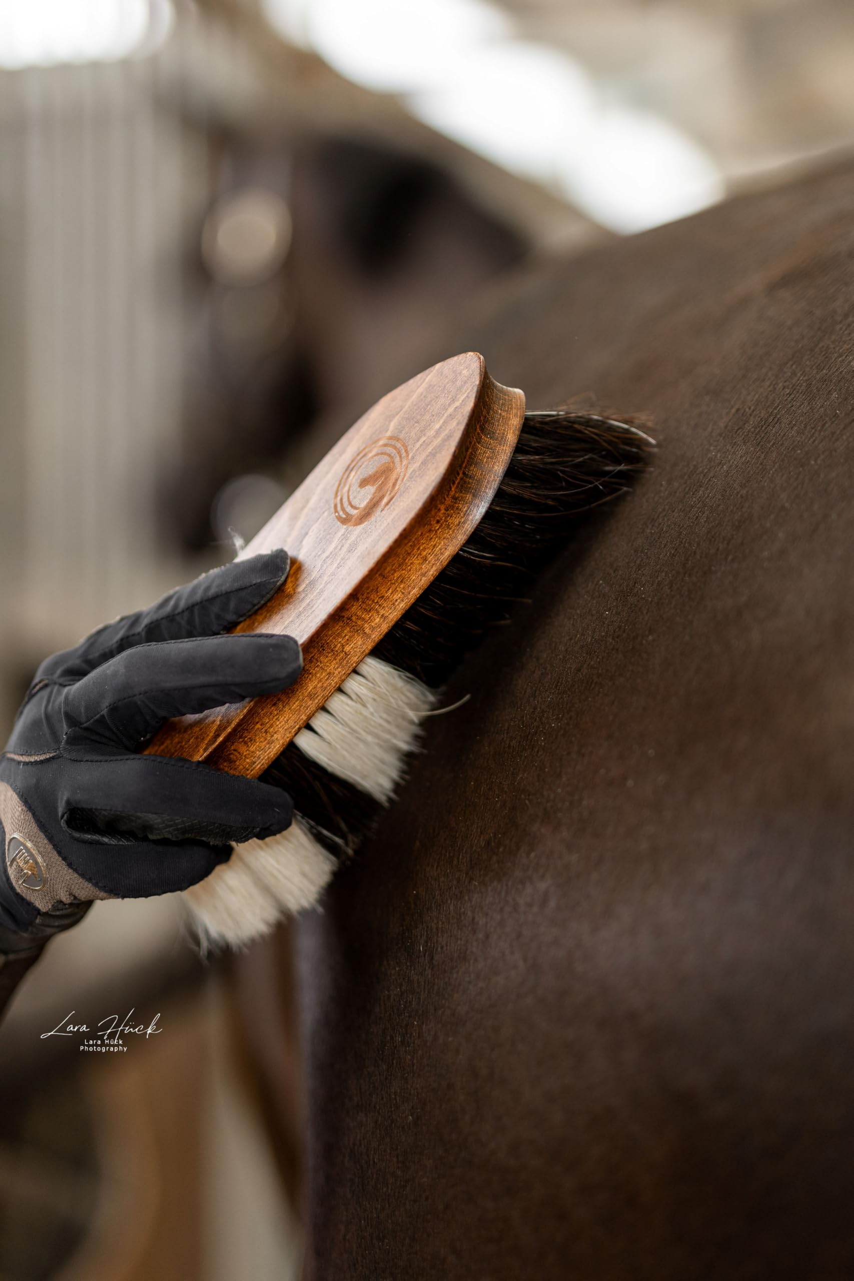 Brosse cheval en crin naturel – Brosse de pansage avec poils denses et poignée ergonomique en bois, pour poussière, saleté et pelage