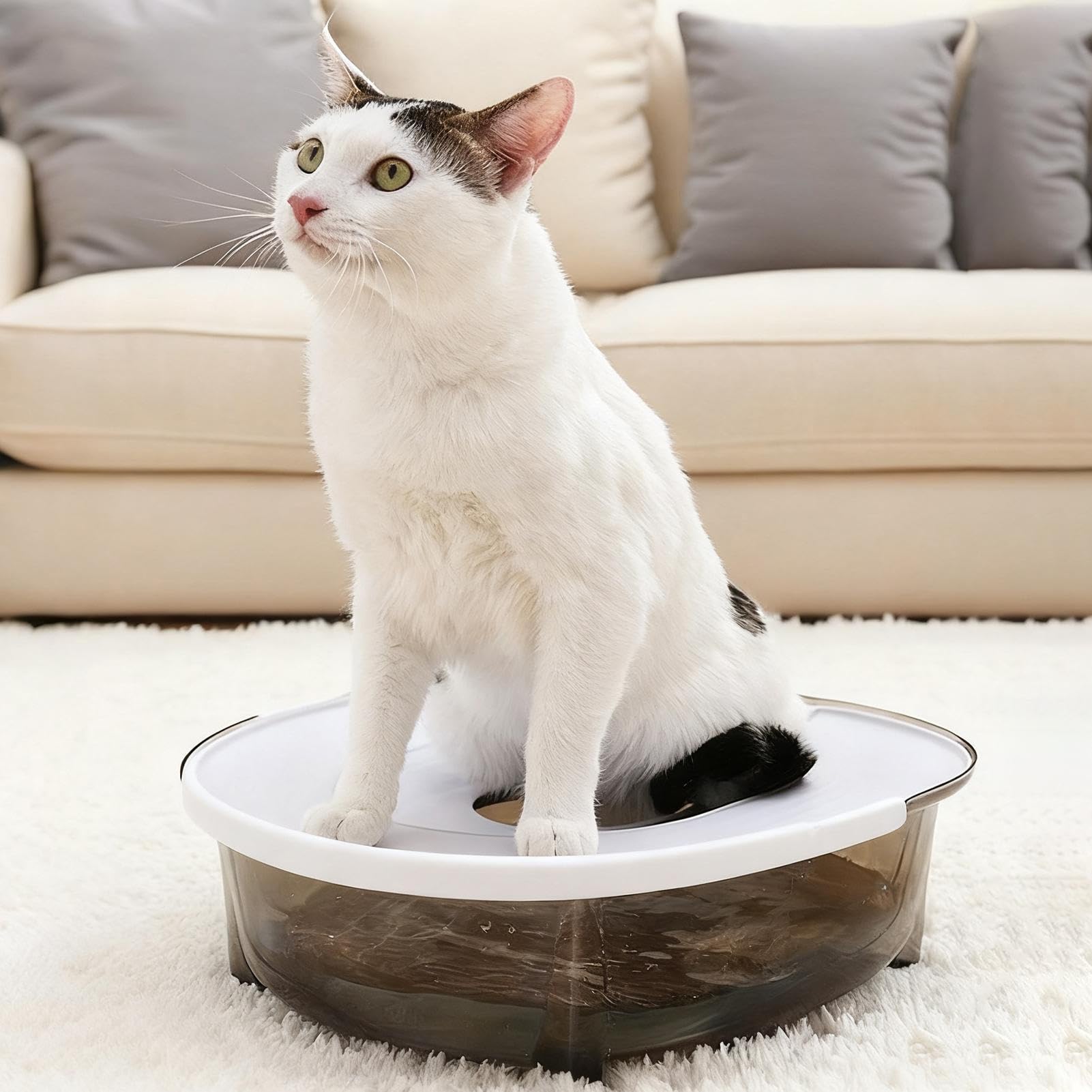 Piccola per gatti - Antispruzzo rimovibile, per gattini con controllo degli odori, antispruzzo, contiene odori con design speciale | per gattini e gatti di piccola