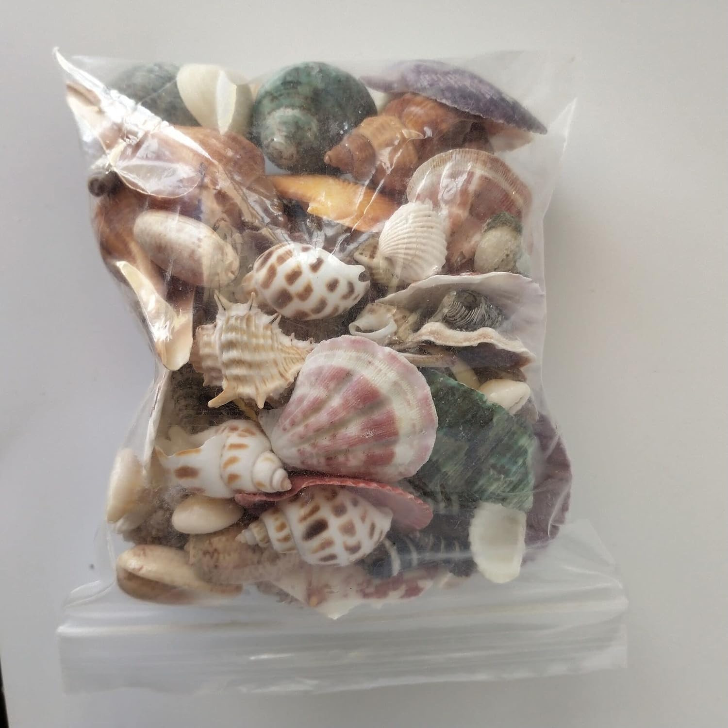 Ornaments Sea Shells,120Pcs Mixed Conch Ocean Sea Shells Wedding Decor Beach Theme PartyFish Tank,Candle Makinghells Home
