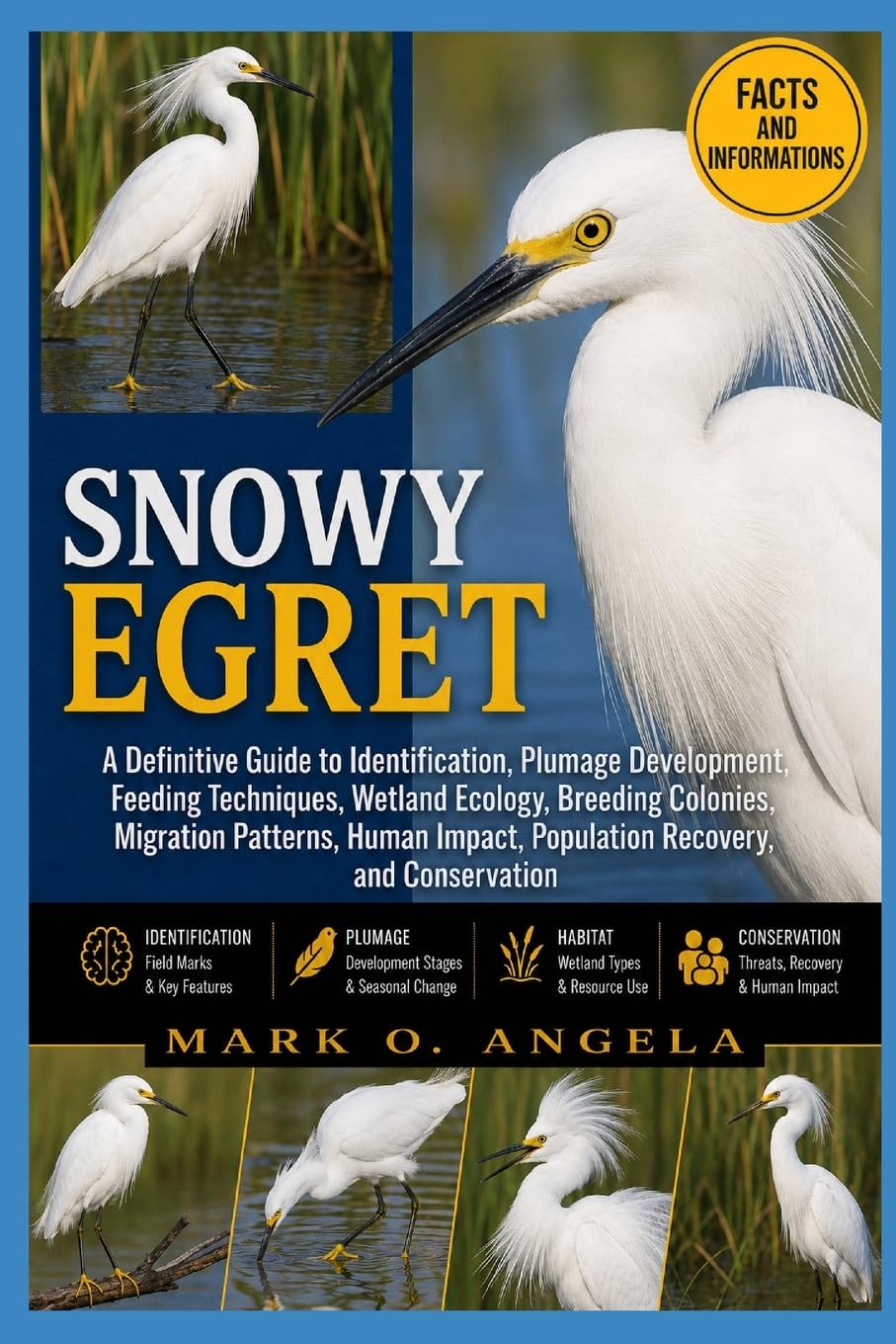 SNOWY EGRET: A Definitive Guide to Identification, Plumage Development, Feeding Techniques, Wetland Ecology, Breeding Colonies, Migration Patterns, Human Impact, Population Recovery, and Conservation