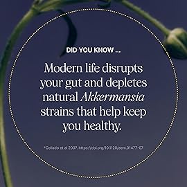 Pendulum Akkermansia Probiotic with Prebiotic Fiber - Increases GLP-1 Production, Delayed Release, Third-Party Tested, 100M AFU Live Strain for Gut Health for Men & Women (30 Capsules, 1-Pack)
