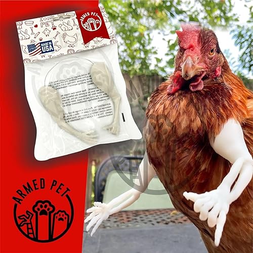 Miniatura 7 de Brazos de pollo de esqueleto, accesorios para fotos, regalo de broma de Halloween, juguetes divertidos hechos en Texas, Estados Unidos para pollo