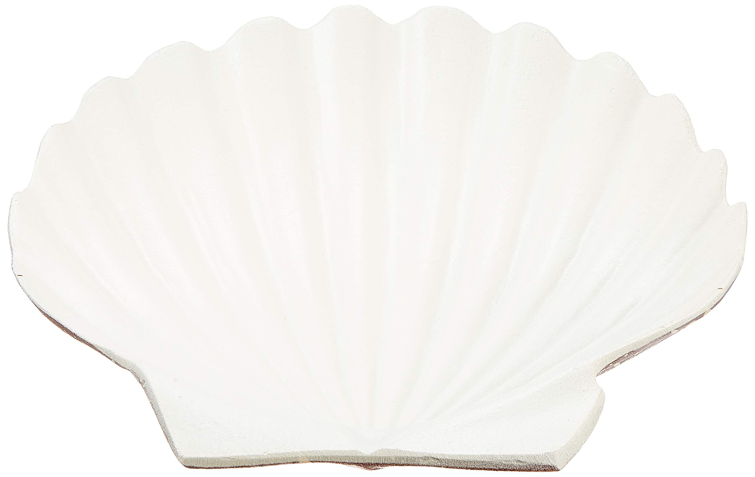 Amazon.co.jp: アルミ ホタテ貝皿 大 : ホーム＆キッチン