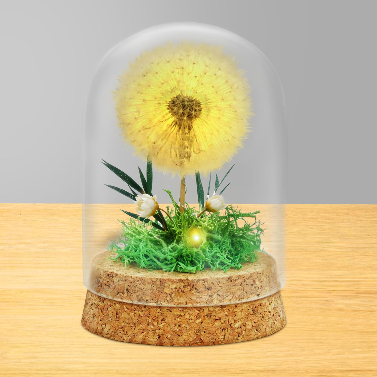 AOOTE Real Dandelion in Glass, Light Up Dandelion in Glass Dome, Eternal Dandelions Decoration with LED Fairy Lights, Decorative Gifts in glass Lucky Charm and Small Item for Birthday Christmas Decor