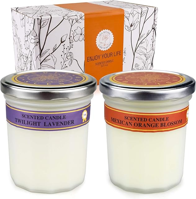 HYH Scented Candles Gift Set for Women, 2Pcs 7.4oz Aromatherapy Candles for Home Scented Soy Wax Travel Tin Candles on Birthday, Valentine's Day, Mother's Day