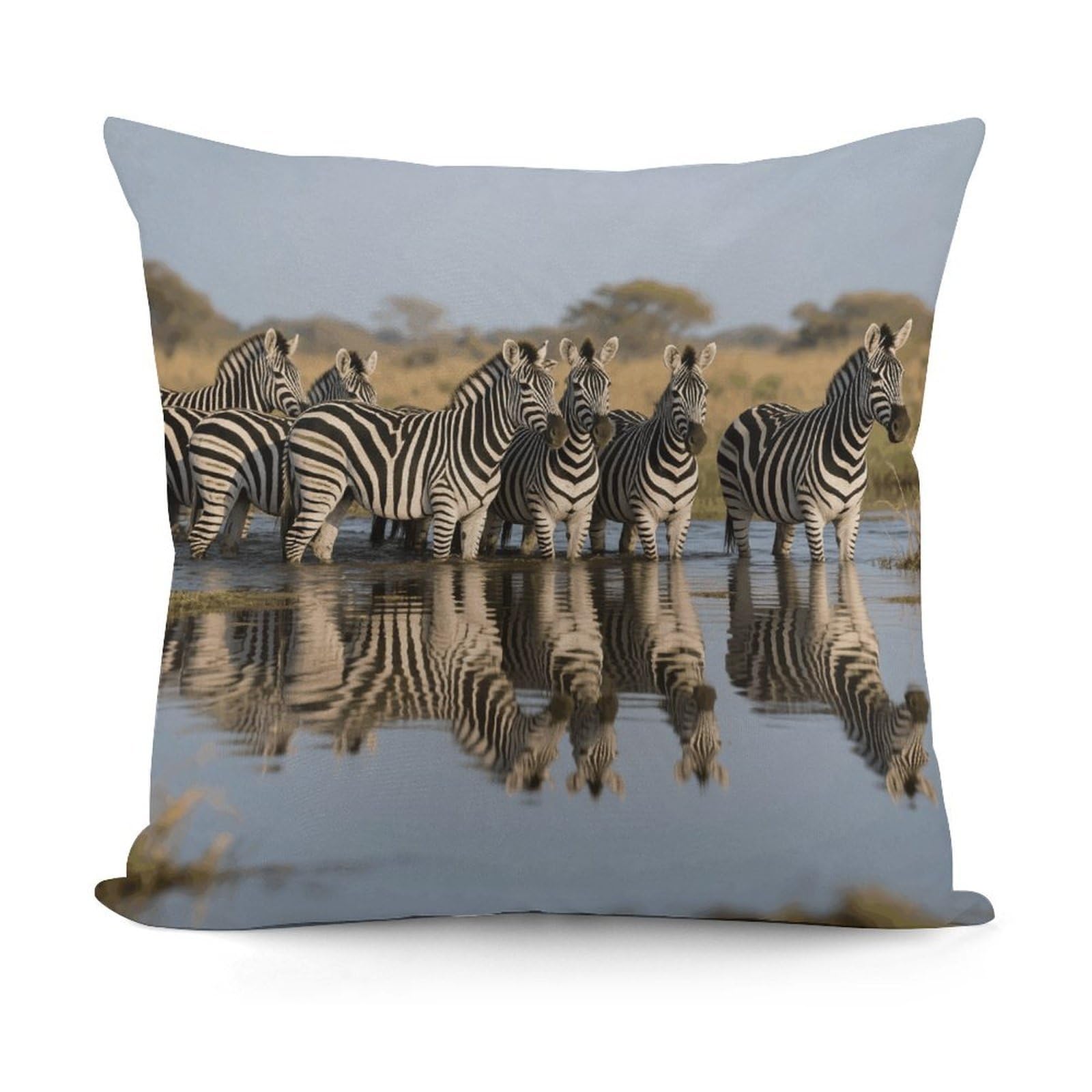 VstaDank Zebra Throw Pillow Cover Soft Square Cushion Cover Art Artwork Pillow Covers Mordern Couch Pillow Covers Decorative Cushion Case for Chair Couch Bedroom Living Room