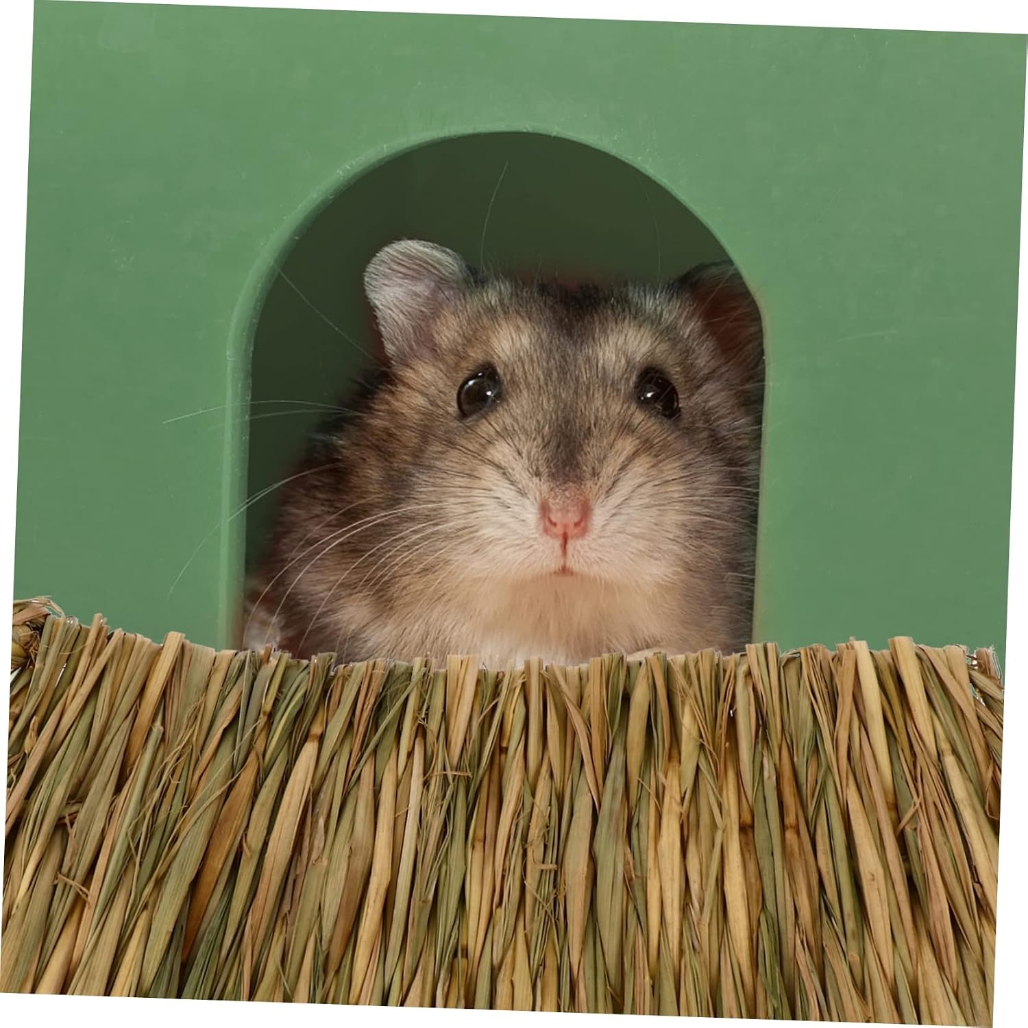 Mipcase Bunny Nesting Grass Mat 3 Pack Small Animal Bedding for Rabbit Guinea Pig Hamster Rat Dried Grass Pet-Friendly