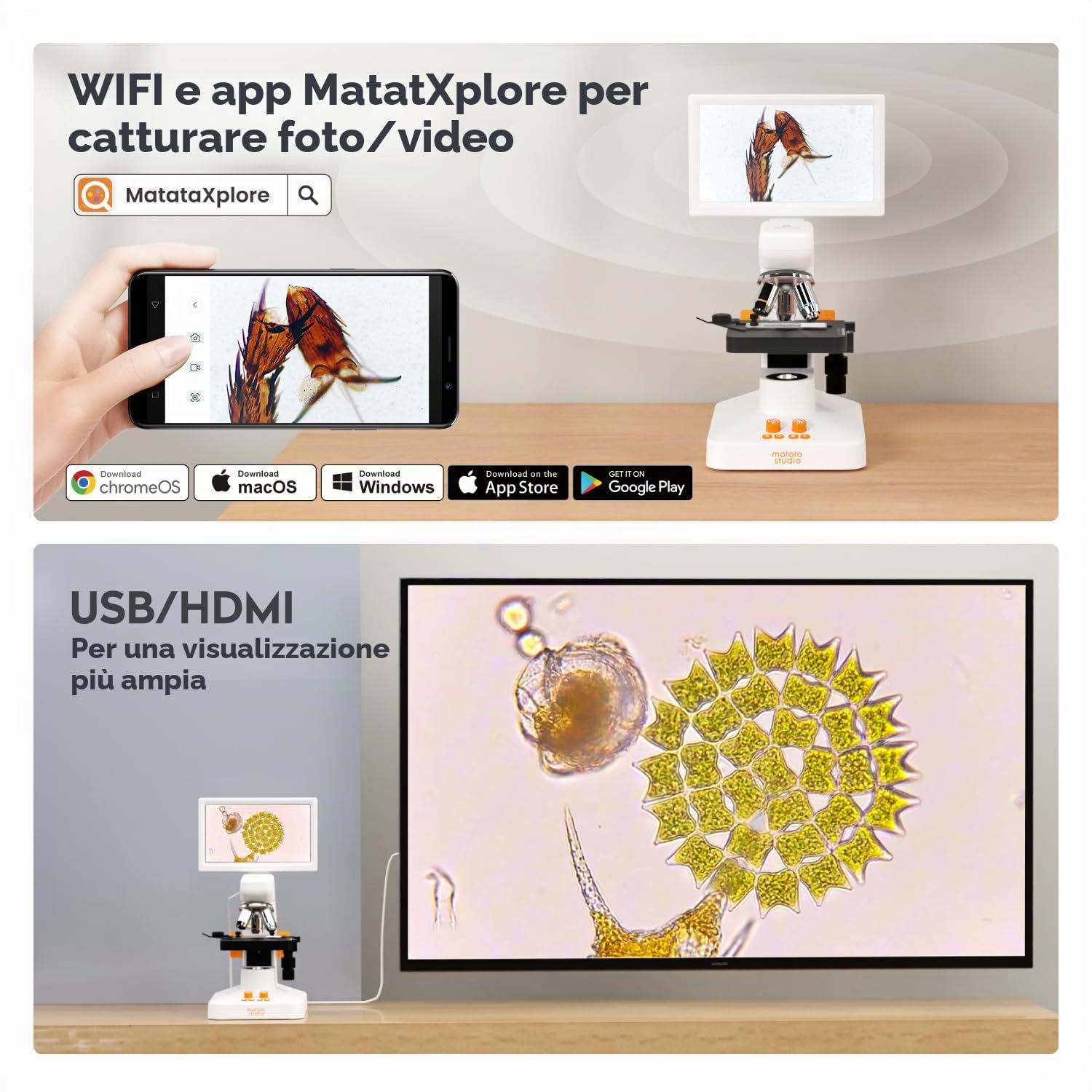 Microscopio per bambini adulti, MatataStudio MT3-4 1200 microscopio biologico professionale con schermo da 7" 1080P, calibro a corsoio portatile da 5 MP, microscopio digitale USB, per laboratorio