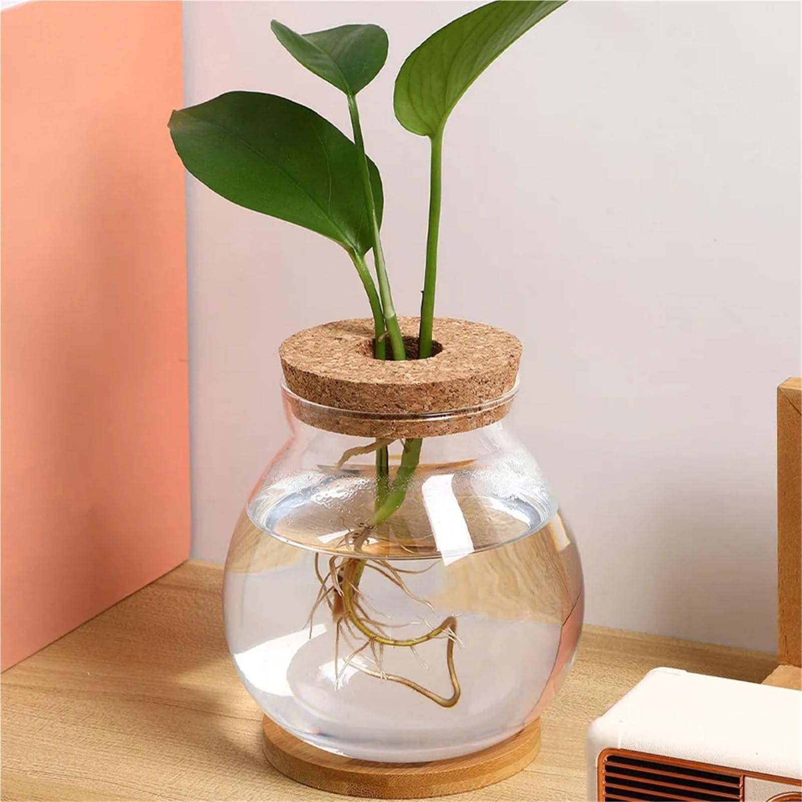 Vase Hydroponique Verre Vase hydroponique en Verre Transparent, Design for Plantes d'intérieur, Station de Propagation Bureau, décor esthétique, Utilisation Polyvalente