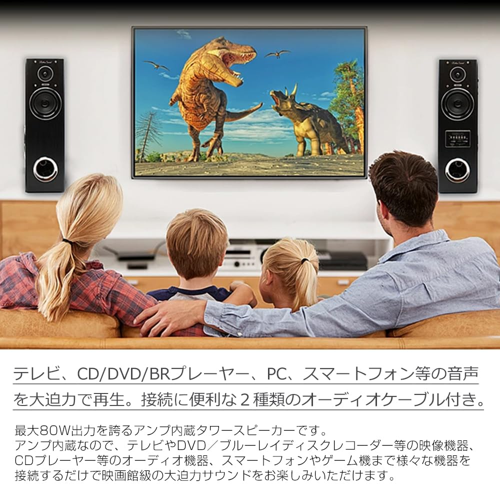 Amazon.co.jp: クマザキエイム ダイナミックサウンドスピーカー DS-12 