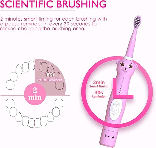 Miniatura 10 de Cepillo de dientes eléctrico de dinosaurio, cepillo de dientes sónico para niños, niños pequeños y niñas de 3 a 12 años con recordatorio de 30,