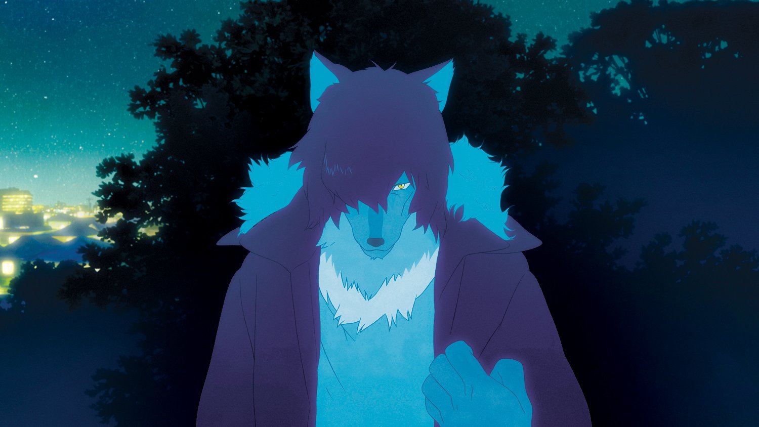 Wolf Children (2 Dvd) [Edizione: Stati Uniti]