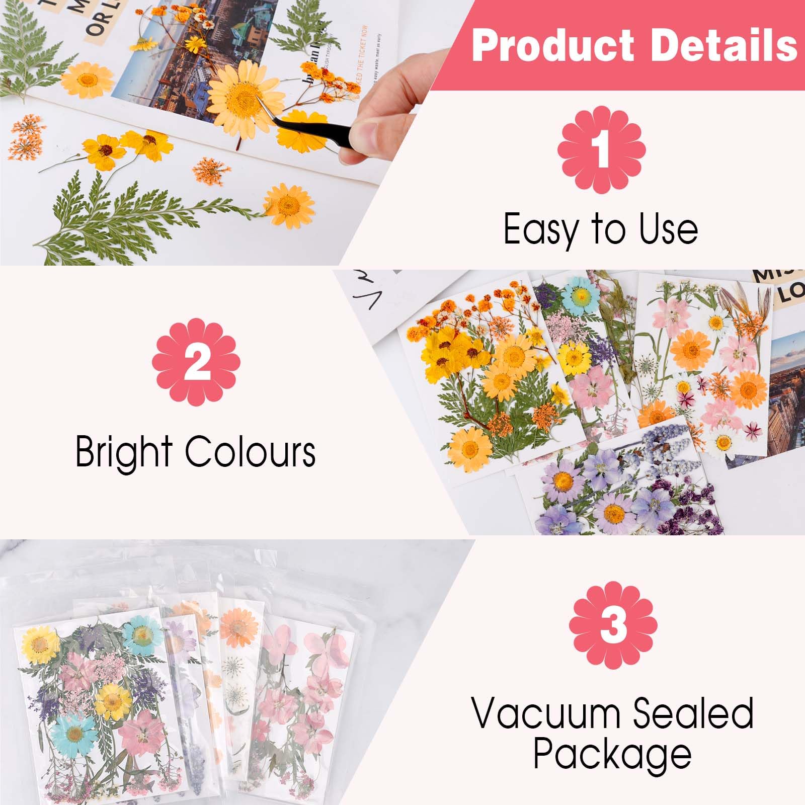 Fiori Secchi per Decorazioni 96 Pezzi Fiori Pressati Naturali con Pinzette per Bomboniere Fai Da Te Candele Scrapbooking