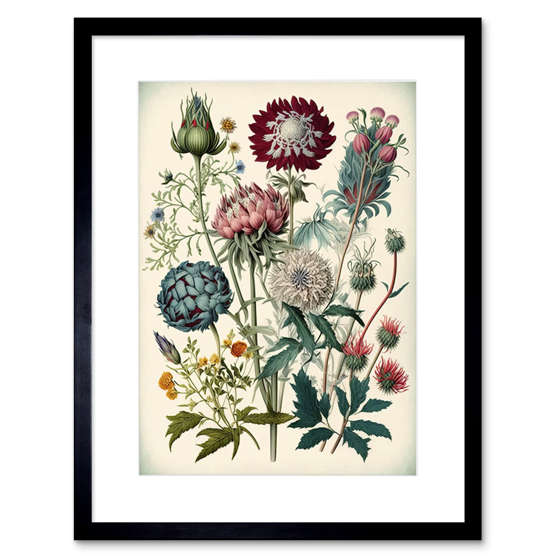 Artery8 Ernst Haeckel Style Vintage Botanical Plant Study Modern Watercolour Painting Illustration Artwork Framed Wall Art Print 9X7 Inch