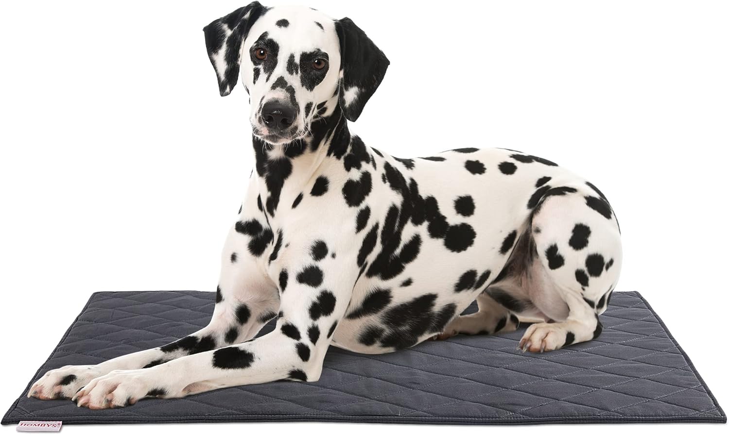 HOMBYS Chew Proof Dog Crate Pad Mat 22"x35", Upgraded Indestructible Training