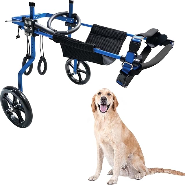 KAJILE Silla Ruedas Perros, Rehabilitación Patas Traseras, Azul,XXL-1