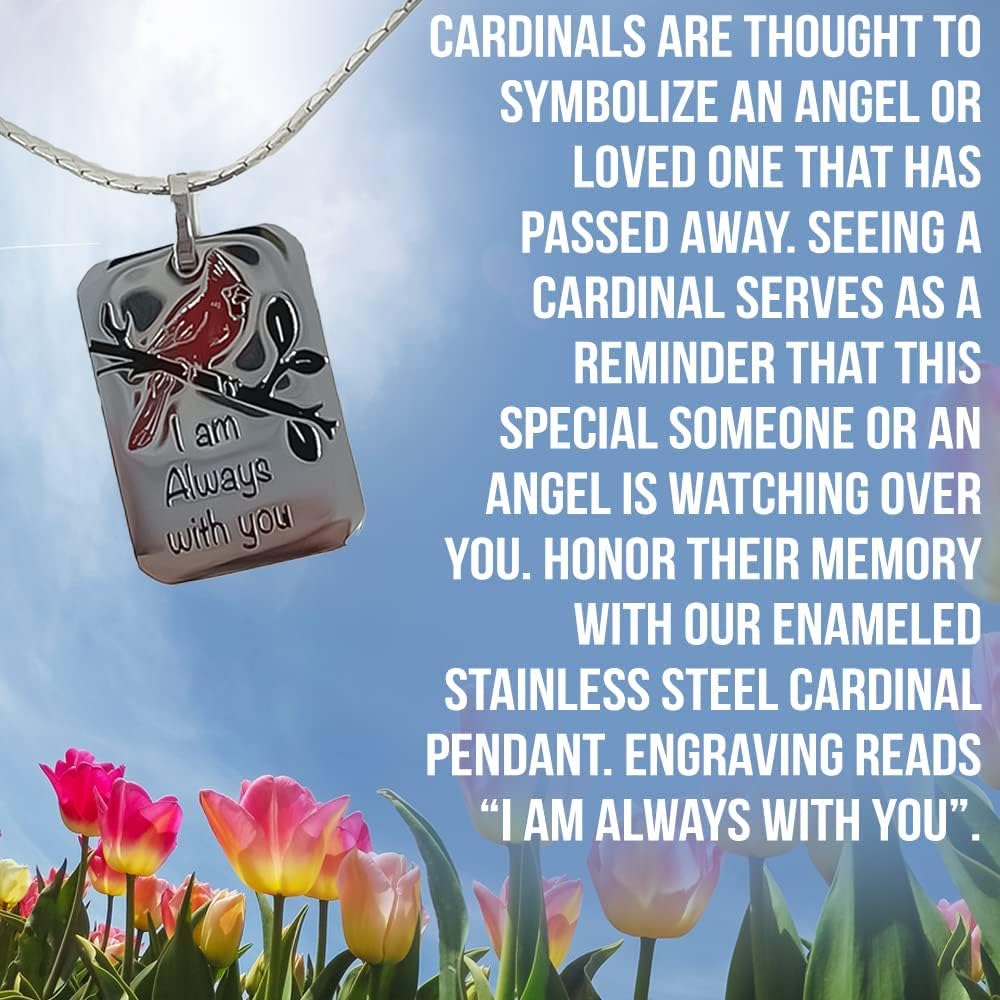 SAGEFINDS “Always with You” Cardinal Pendant | Enameled Stainless Steel | Memorial Jewelry | Loss of Loved One | Son, Daughter, Husband, Mother, Father, Sister, Brother | Sympathy Gift | 24” Chain