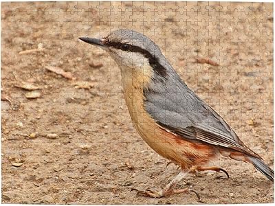 Bird Nuthatch 500 Piece Puzzle - Funny Gag, Cat,Dog, Goat, Birds etc.