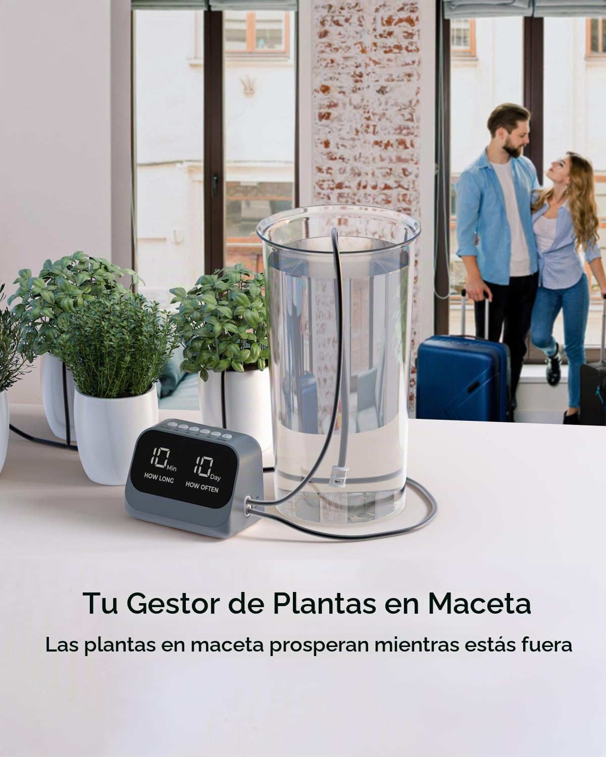 Sistema automático de riego para plantas, kit de riego automático por goteo con temporizador programable y pantalla LED, sistema interior de alimentación