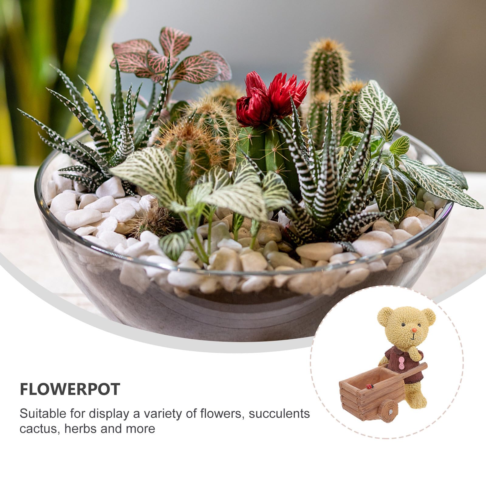 SOIMISS Handbemalter Harz Blumentopf Bär als Pflanzgefäß für Sukkulenten Kompakter Übertopf für Büro Wohnzimmer und Garten 1 Stück Robust und Dekorativ