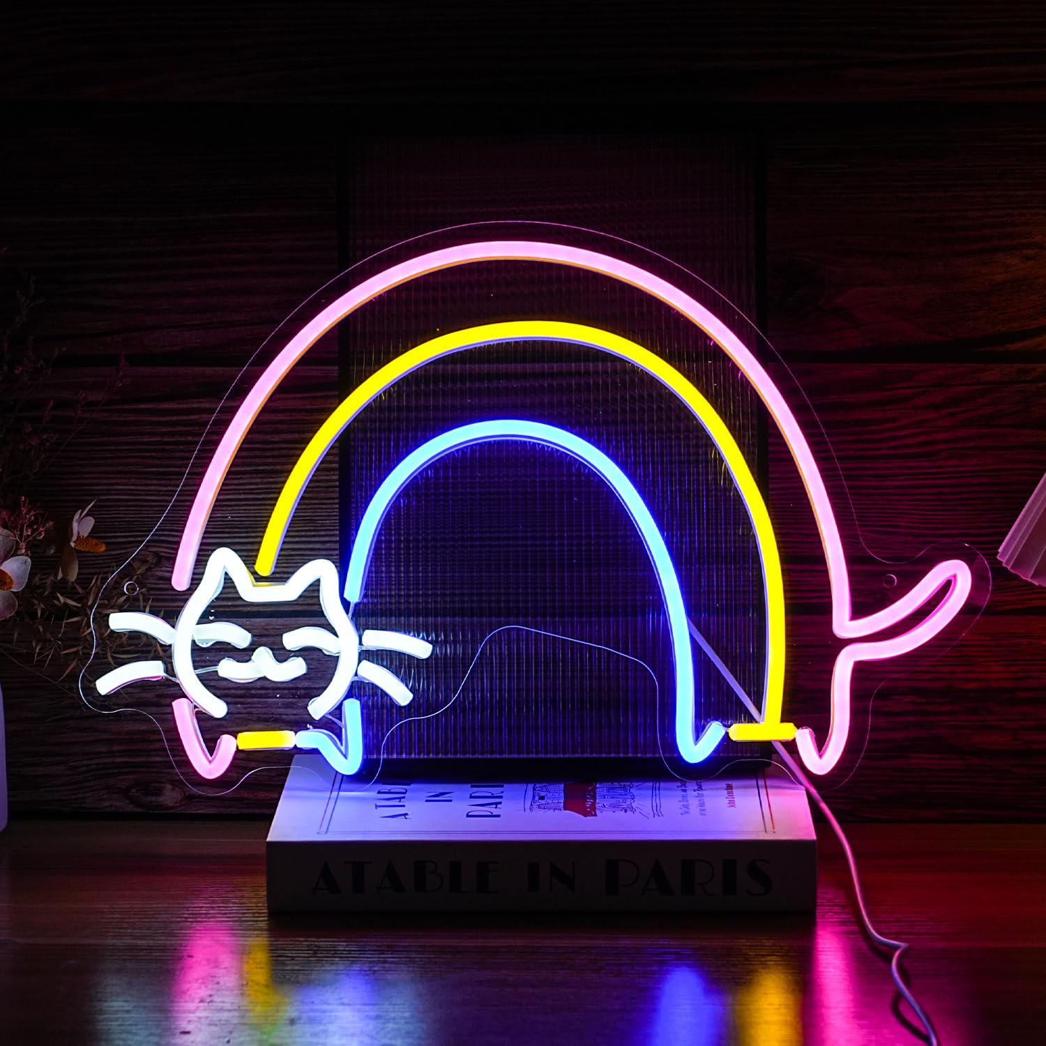BNEMCEZH Rainbow Cat Neon Sign Cute Cat Led Light Up Sign Powered by USB Dimmable Colorful Rainbow Neon Light for Bedroom Kids Room Cat Cafe Bar Man