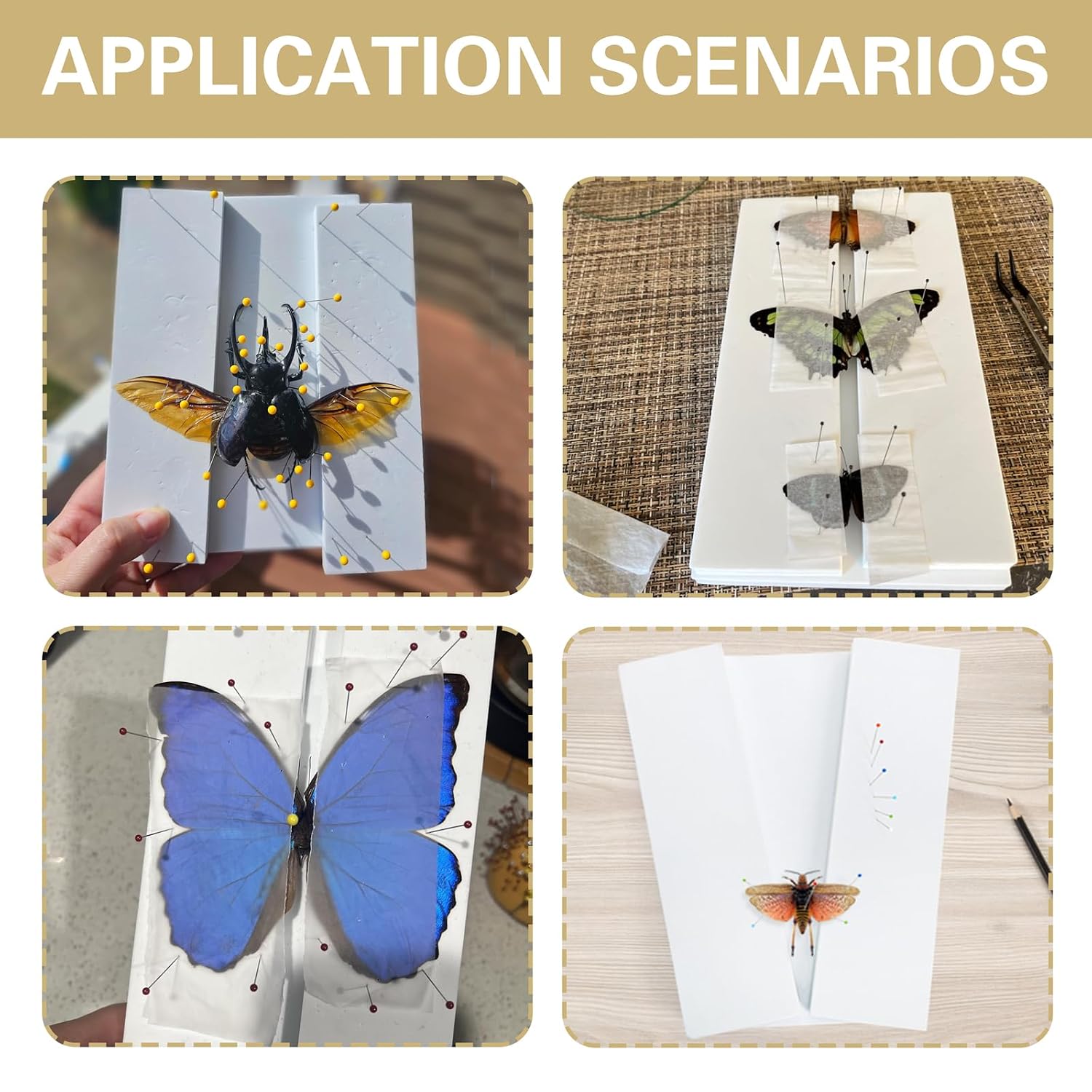 6 PCS Insect Pinning Board, 9.8 x 6.3 x 0.39 Inch White EVA Foam Mat Specimen Spreading Panel for Lab Science Education Project & Bugs Collection Hobbyist
