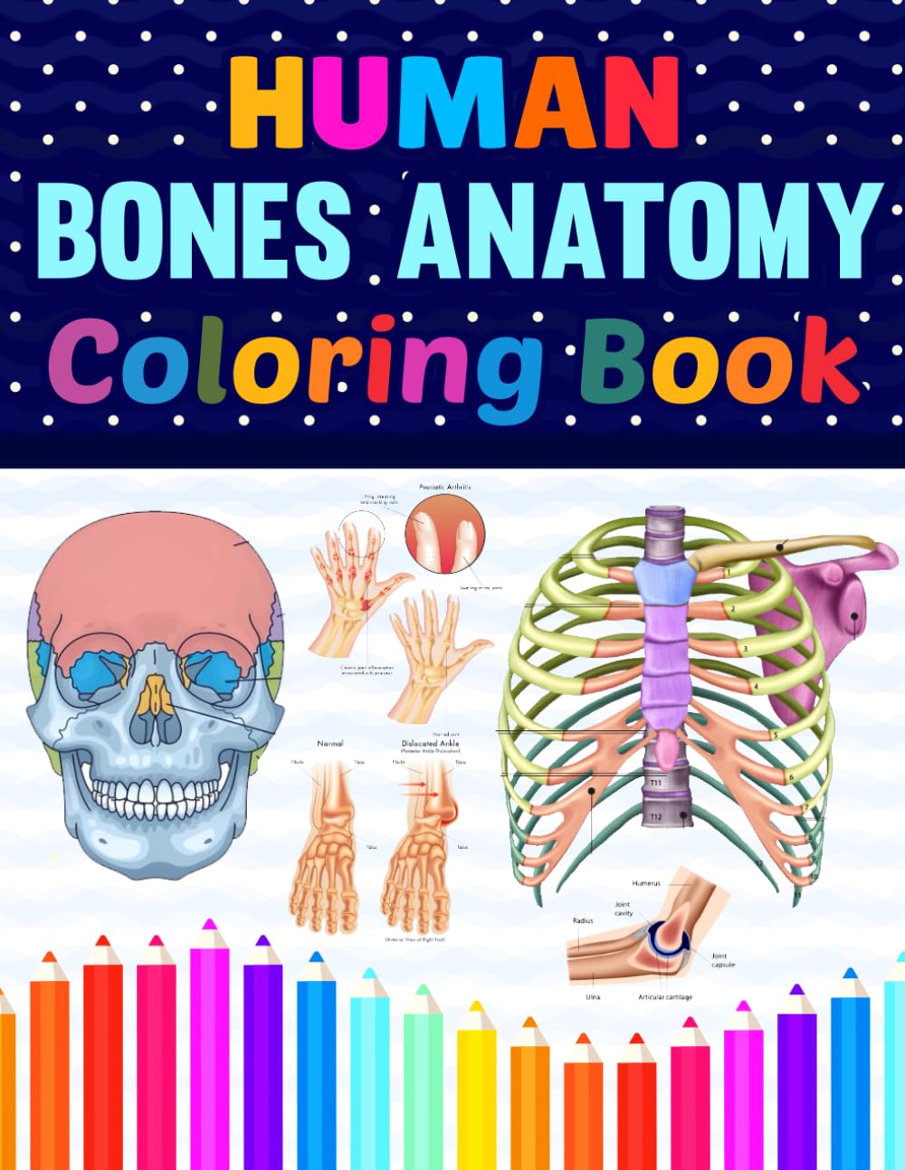 Human Bones Anatomy Coloring Book: This Coloring Book is Helpful For Learning Human Bones Anatomy. Unique & Fun Way to Learn Human Bones Anatomy. A ... Helpful Book to Study Human Bones Anatomy.