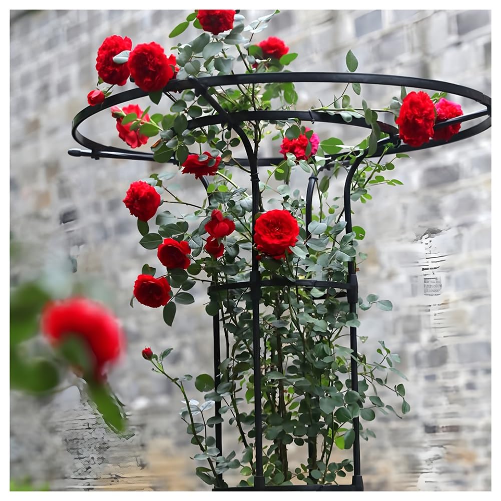 Zfmnoyev Tuteur De Jardin pour Plantes Grimpantes, Support pour Plantes en Métal Extensible Et Résistant À La Rouille, Trellis en Métal pour Plantes Et Fleurs(Blanc,75x175cm)