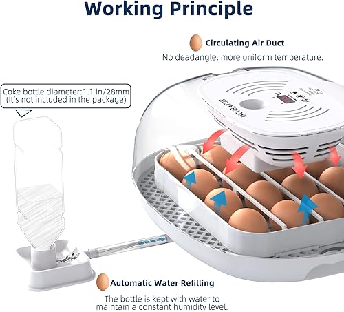 Miniatura 4 de Incubadora de huevos 16 incubadoras para incubar huevos con torneado automático de huevos vela de huevos y adición automática de agua para incubar