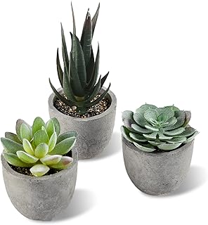 ALANGDUO Künstliche Sukkulenten im Topf, Mini Sukkulenten Künstliche, Kleine Kunstpflanze Wie Echt mit Topf, Dekorative Kunstpflanze für Hochzeit, Büro, Zuhause, Wohnzimmer, Badezimmer Dekoration
