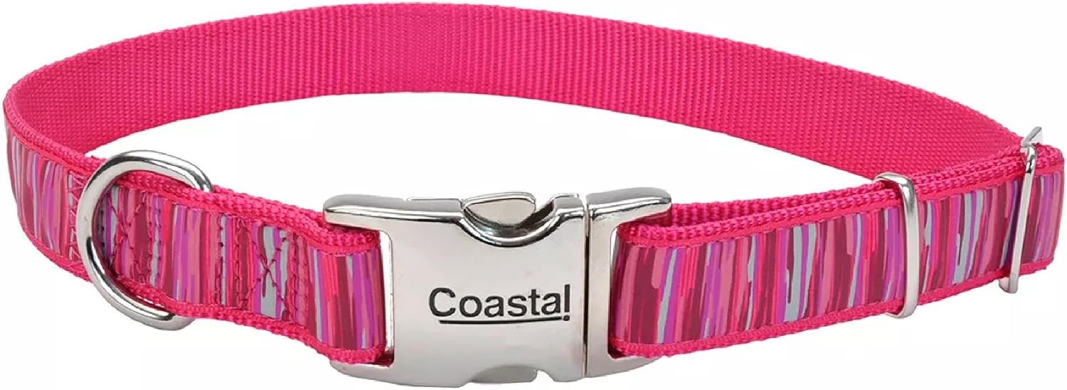 Coastal Pet - Ribbon - Adjustable Dog Collar with Metal Buckle, Brown Paws and Bones, 1" x 18"-26"