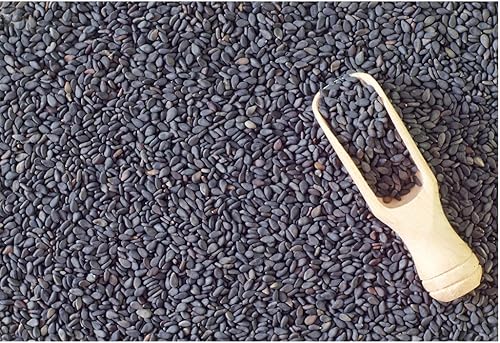 Miniatura 3 de Aceite puro de semilla negra, 16 onzas, semilla negra 100% pura y prensada en frío, sin OGM y vegano, nigella sativa