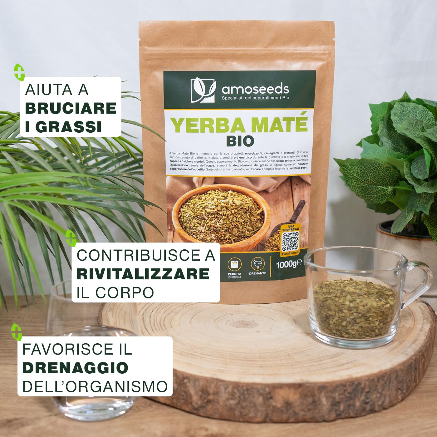 Yerba Maté BIO 1KG | Maté verde non affumicato | 100% foglie, senza steli | Energia, alternativa al caffè | Qualità superiore