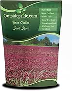 Outsidepride Crimson Clover Seeds - 10 lbs. Annual, Nitrocoated, & Inoculated Ground Cover Seeds, Ideal Clover Seed for Lawn, Cover Crop, Pasture, Hay, Green Manure & Wildlife Forage