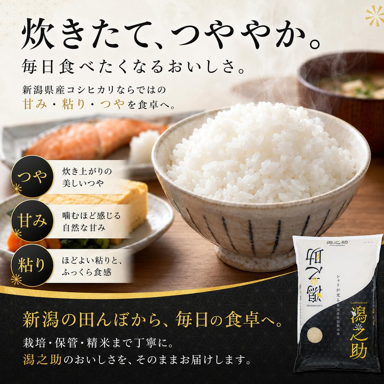 Amazon.co.jp: 【新米】新潟県産コシヒカリ(5kg)令和8年産 特別栽培米