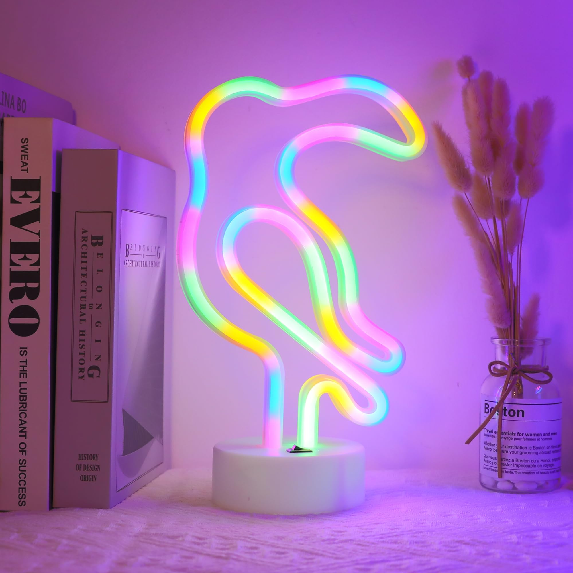 Decorative LED Toucan Shaped Neon Sign ENUOLI Neon Night Light with Four Color Lights Batter&USB Powered Table LED Lights for Home Decoration Bedroom Lounge Office Wedding Christmas Party