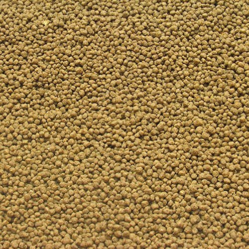 JBL MariPearls 40591 Voeding voor zeewatervissen, granulaatvoer, 1 l - Image 3