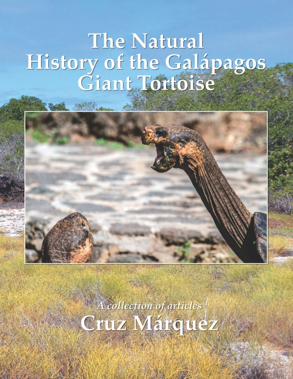 The Natural History of the Galapagos Giant Tortoise: A collection of articles